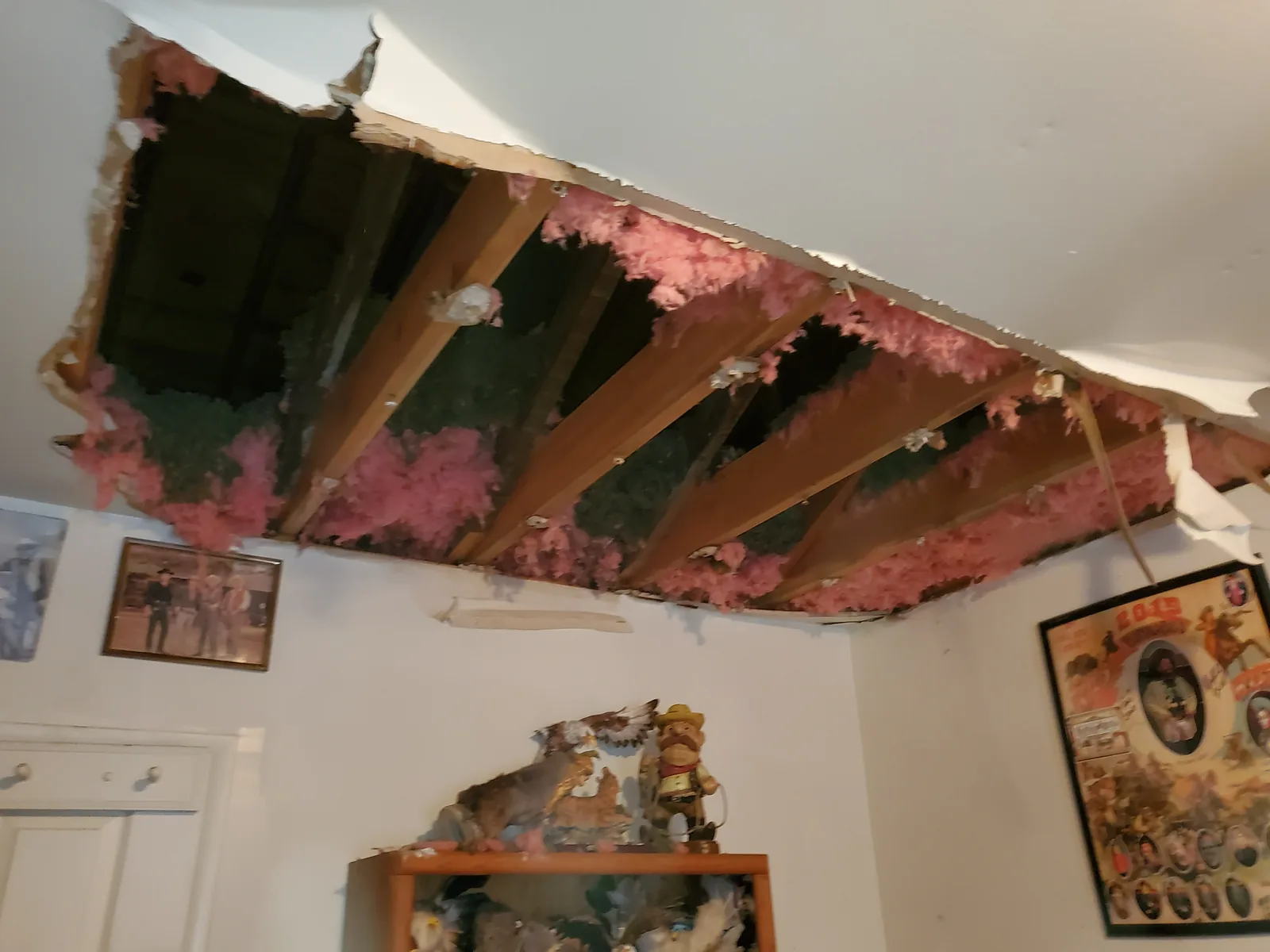 Collapsed ceiling with exposed joists and saturated pink insulation after a burst upstairs pipe