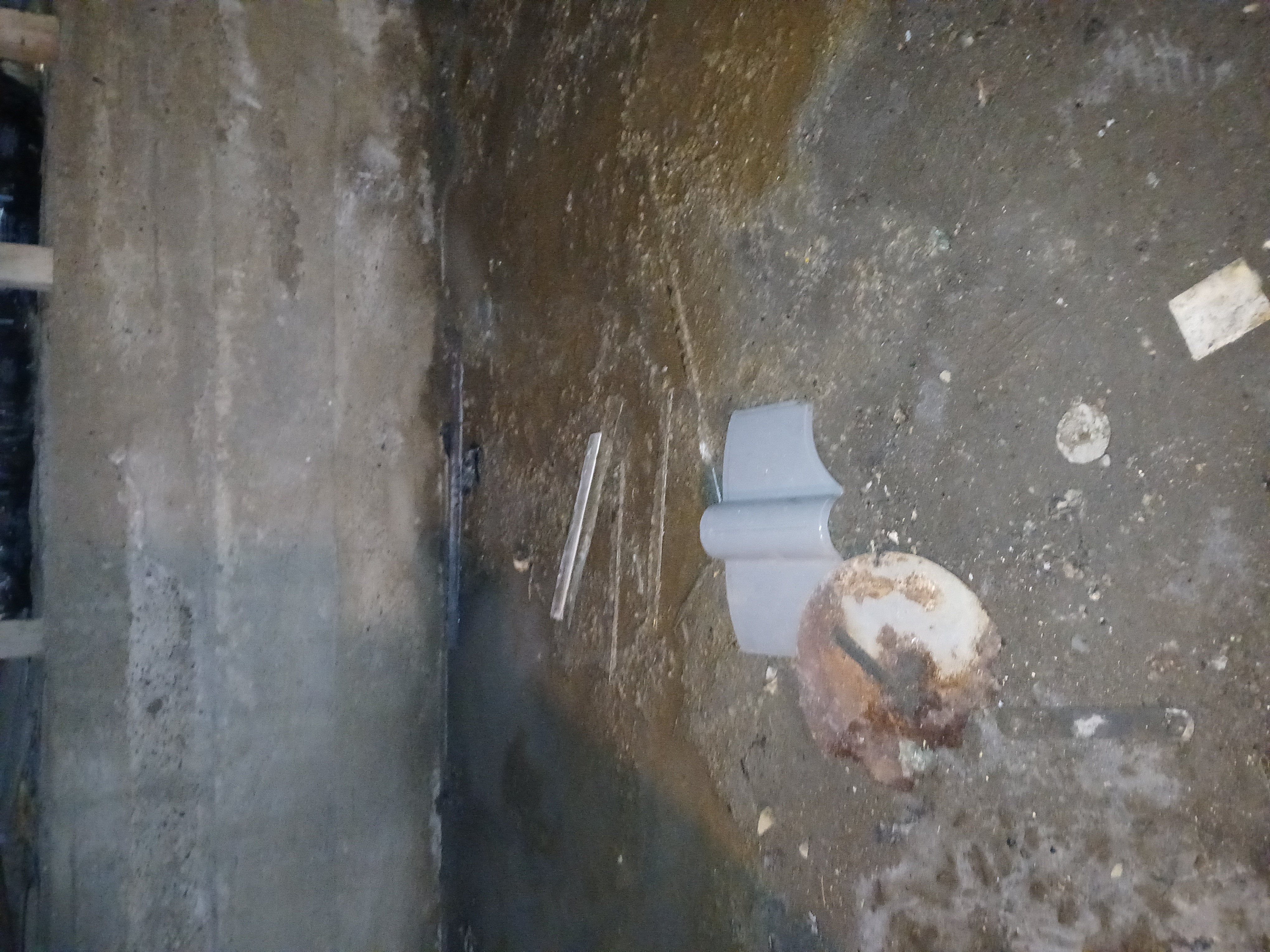 Restoration project 19