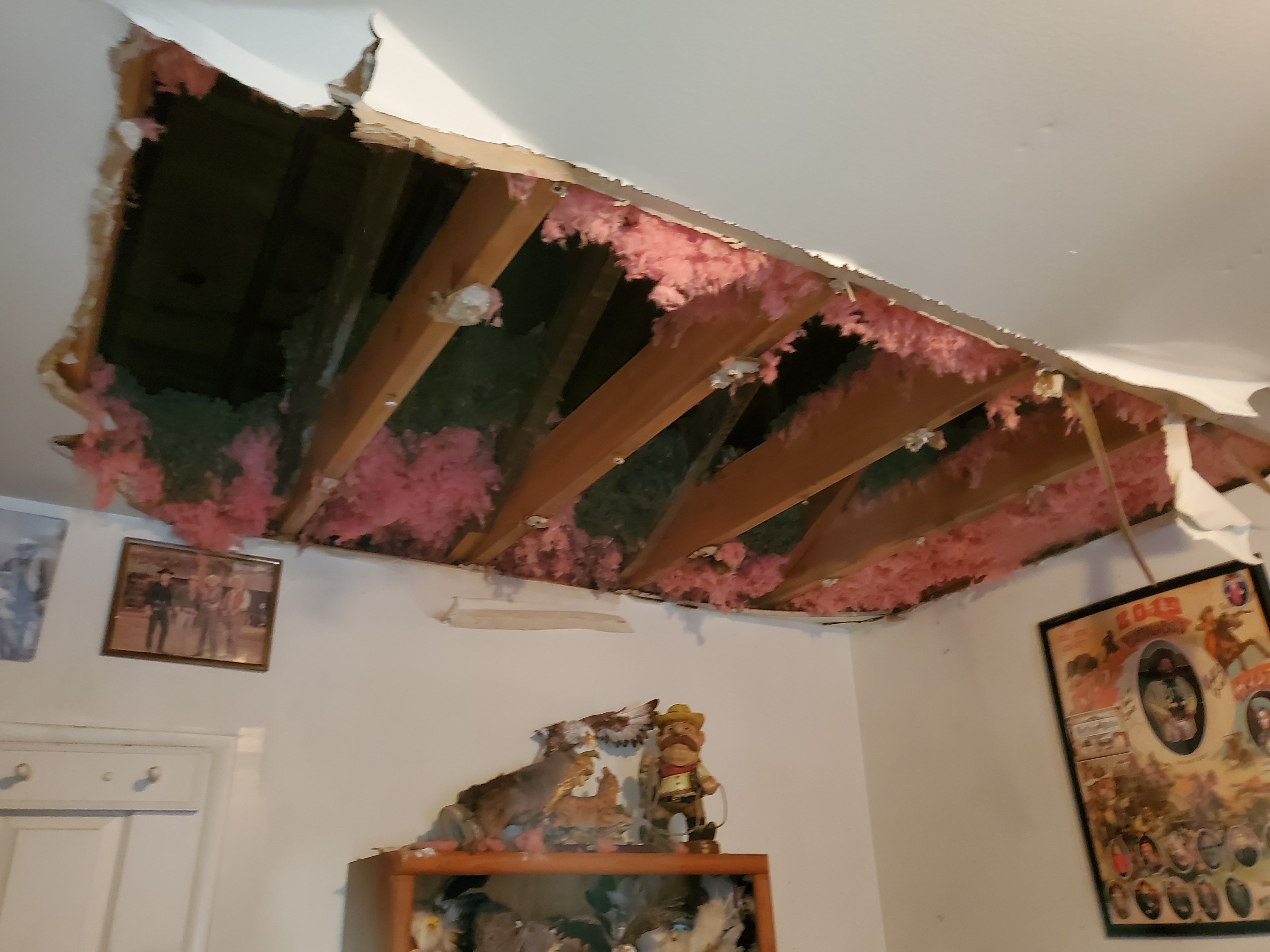 Restoration project 21