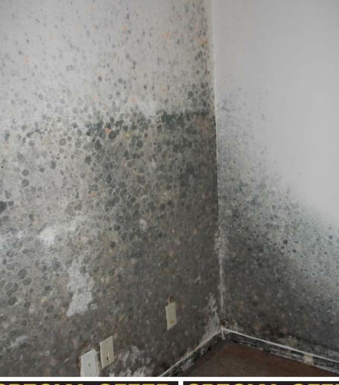 Restoration project 16